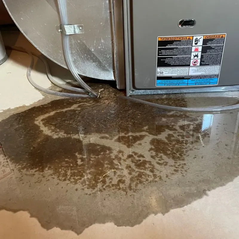 Pipe Burst and Leak Restoration in Waterford, NY
